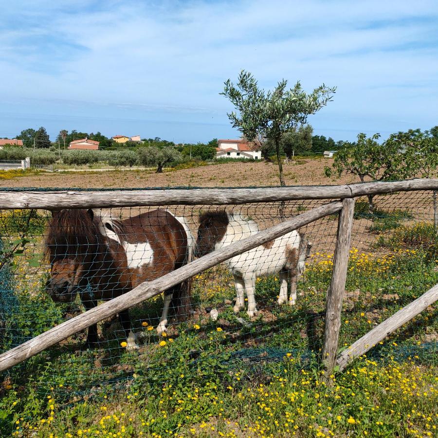 Agriturismo Agri Armonia Сан Лучидо Екстериор снимка