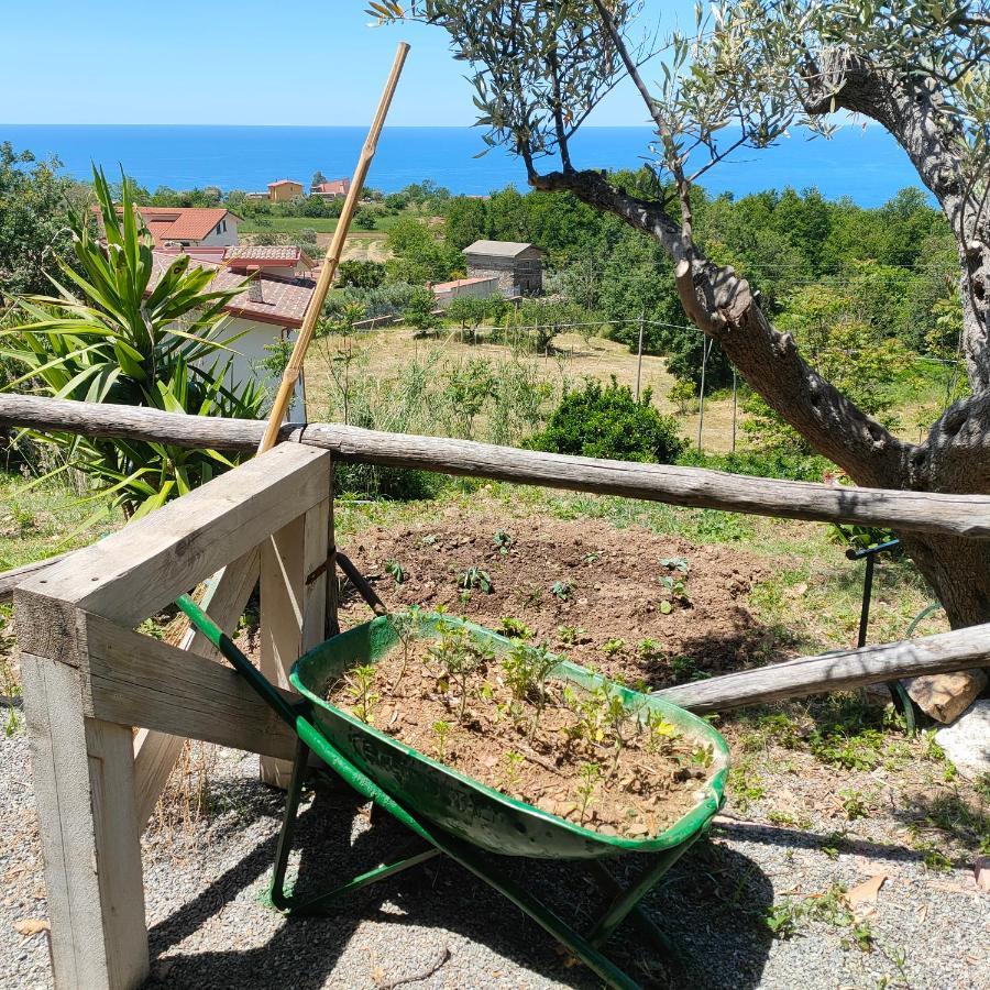 Agriturismo Agri Armonia Сан Лучидо Екстериор снимка