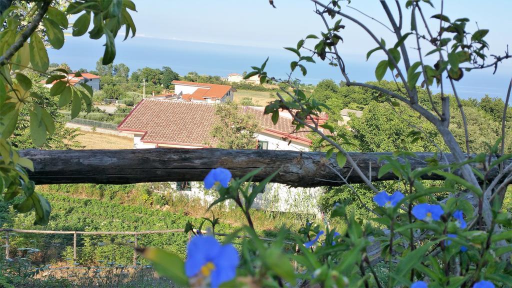Agriturismo Agri Armonia Сан Лучидо Екстериор снимка
