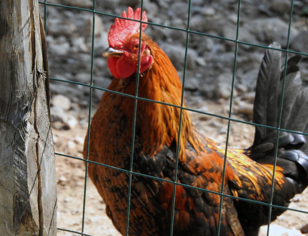 Agriturismo Agri Armonia Сан Лучидо Екстериор снимка